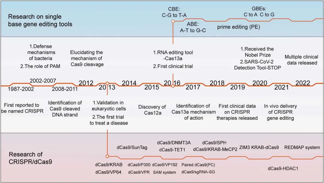CRISPR/Cas9技术与基因治疗