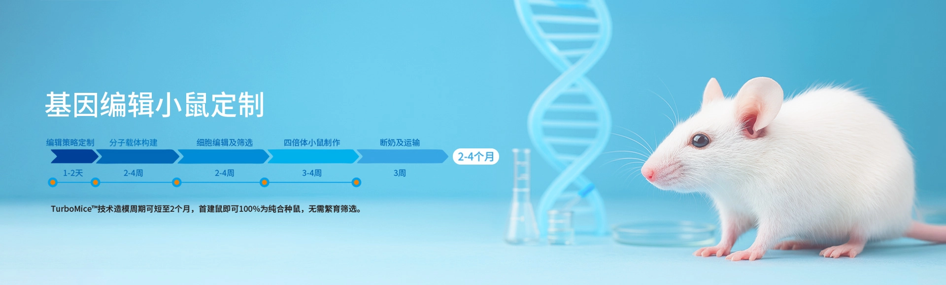 基因编辑小鼠定制