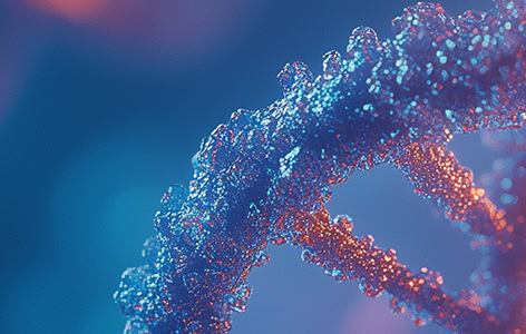 明迅生物祝贺合作伙伴新芽基因DMD胞嘧啶碱基编辑新药GEN6050X获美国FDA临床试验许可