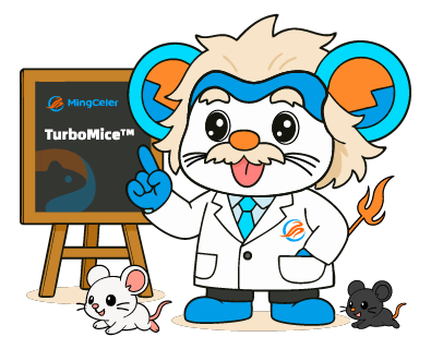 定制纯合基因敲除小鼠服务流程