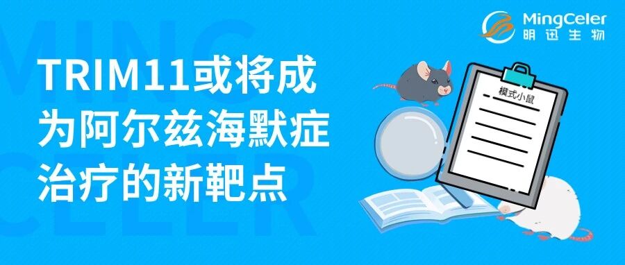 TRIM11或将成为阿尔兹海默症治疗的新靶点