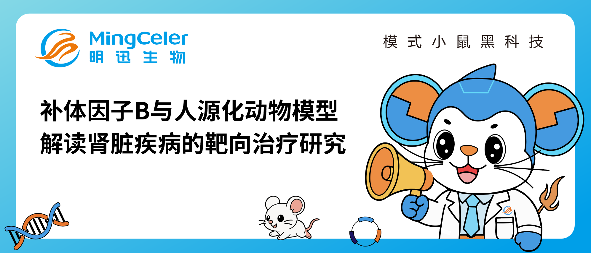 药靶前瞻 | 补体因子B与人源化动物模型：解读肾脏疾病的靶向治疗研究